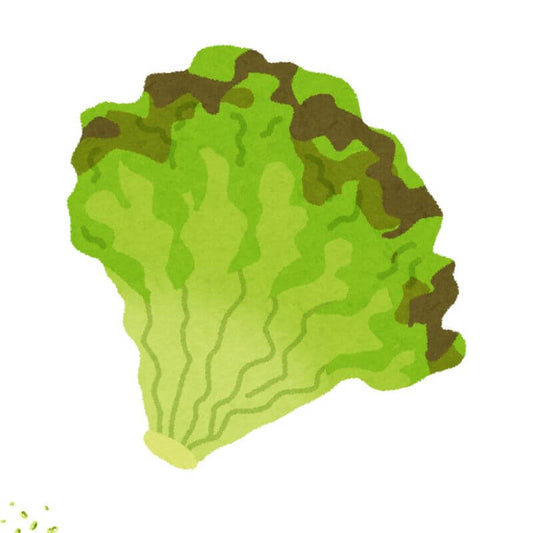 Lettuce Symphony