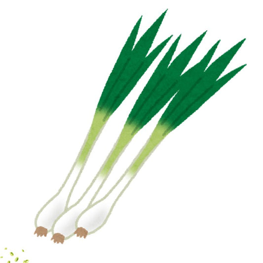 Welsh Onion