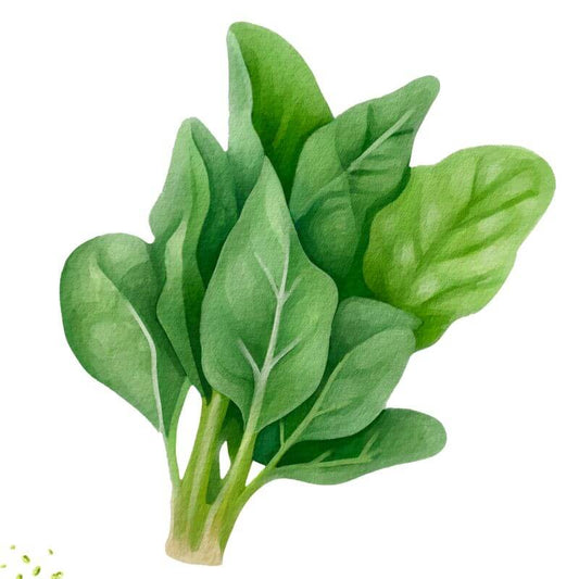 Perpetual Spinach